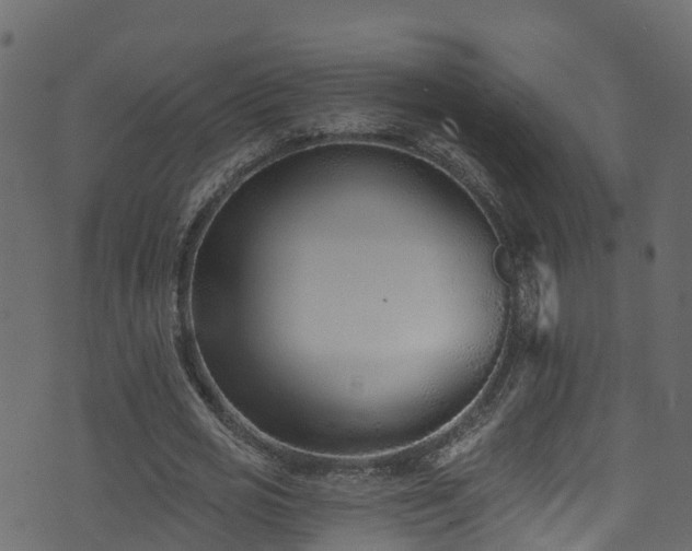 X0000074240725200608251138