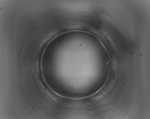 X0000074240729200608251138