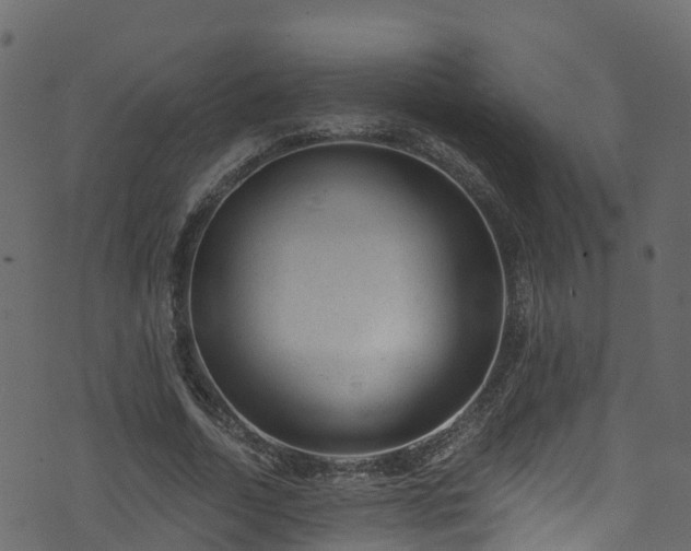 X0000074240730200608251138