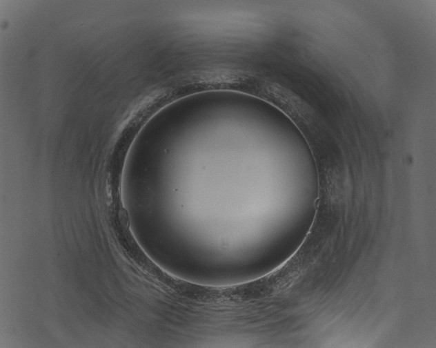 X0000074240731200608251138