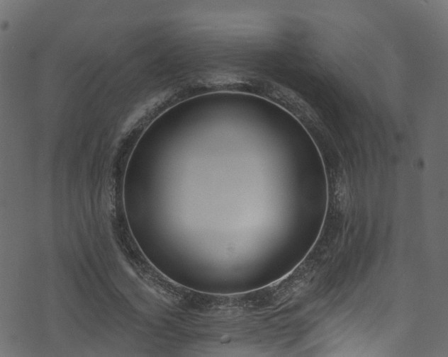 X0000074240732200608251138