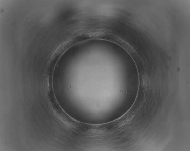 X0000074240733200608251138