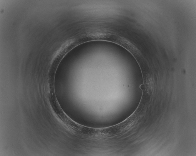 X0000074240734200608251138