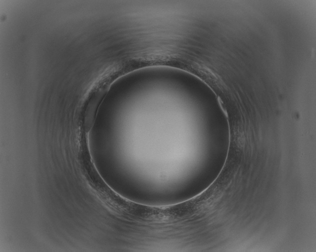 X0000074240735200608251138