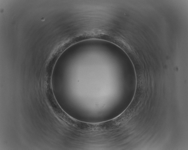 X0000074240736200608251138