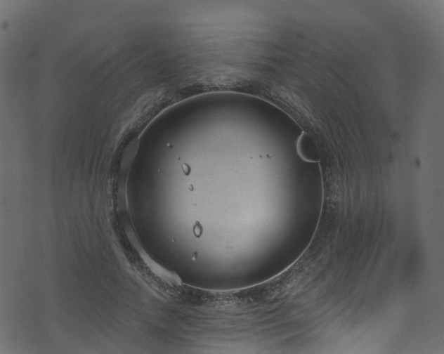 X0000074240738200608251138