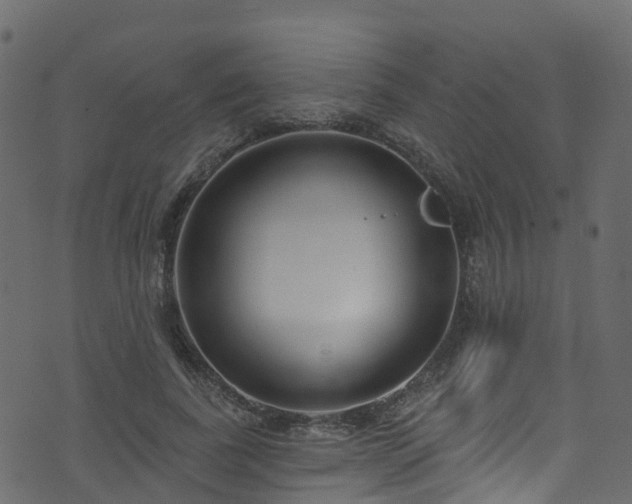 X0000074240739200608251138