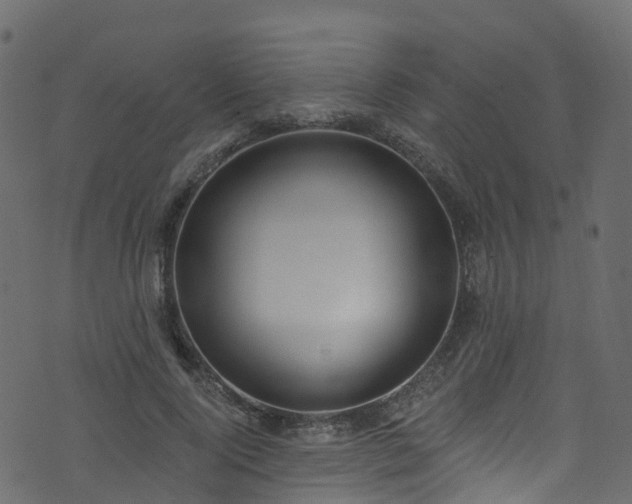 X0000074240740200608251138