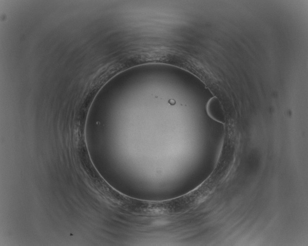 X0000074240741200608251138