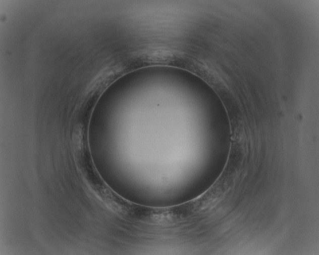 X0000074240744200608251138