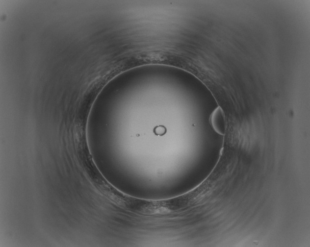 X0000074240747200608251138