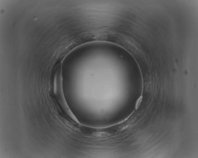 X0000074240748200608251138