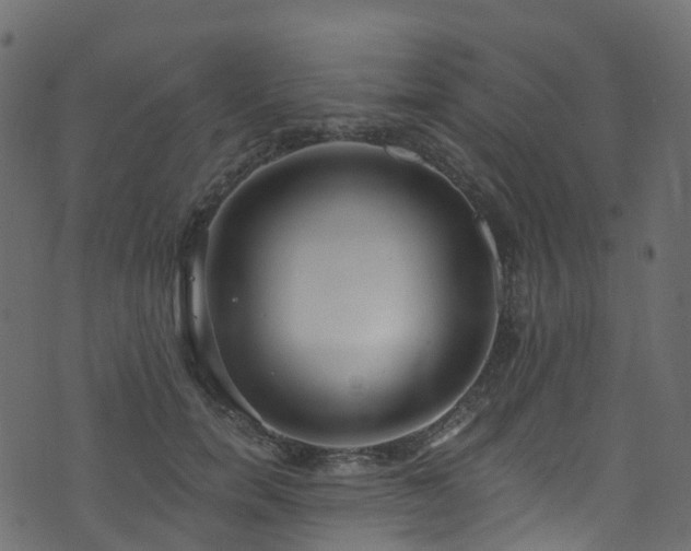 X0000074240750200608251138