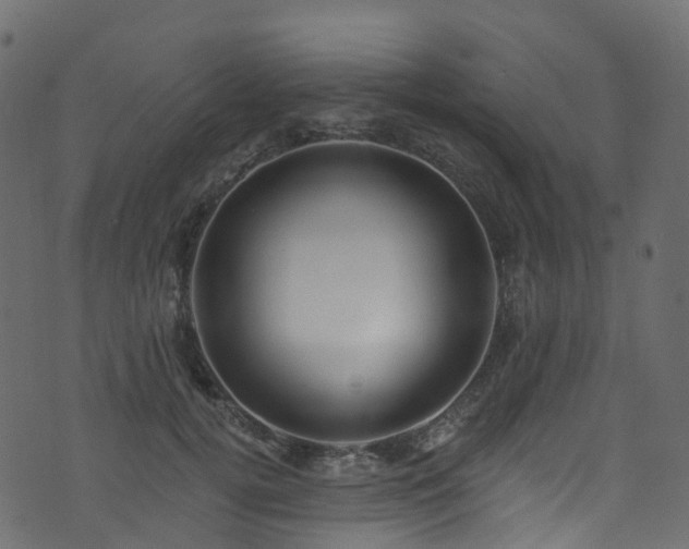 X0000074240752200608251138