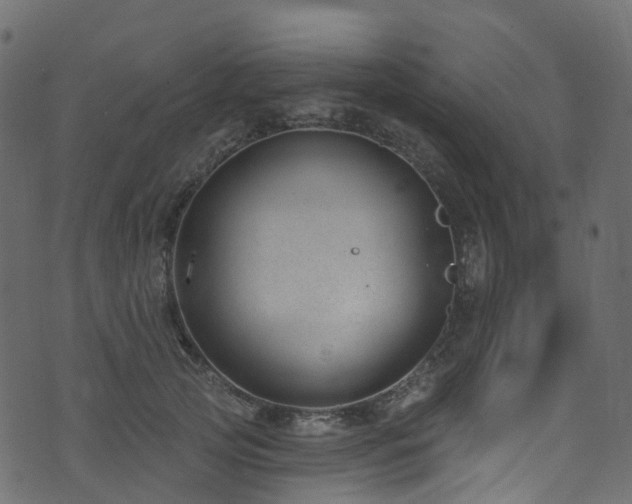 X0000074240753200608251138