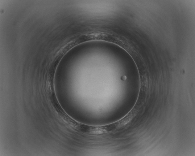 X0000074240754200608251138