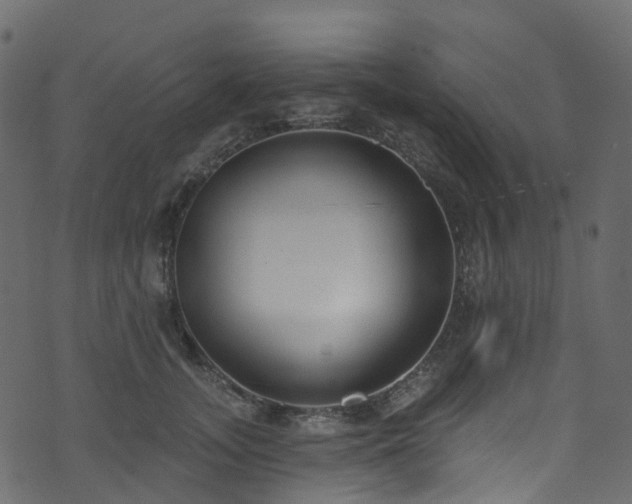 X0000074240755200608251138