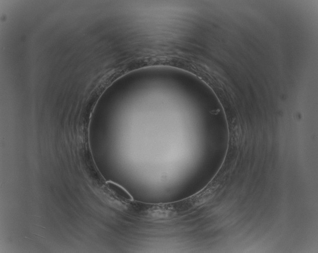 X0000074240756200608251138