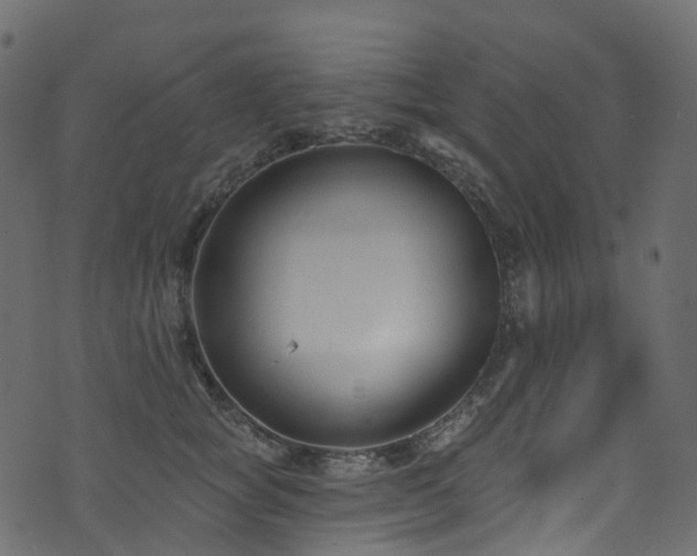 X0000074240757200608251138