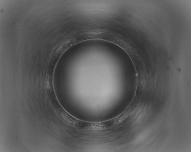 X0000074240758200608251138