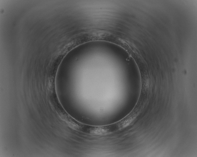 X0000074240759200608251138