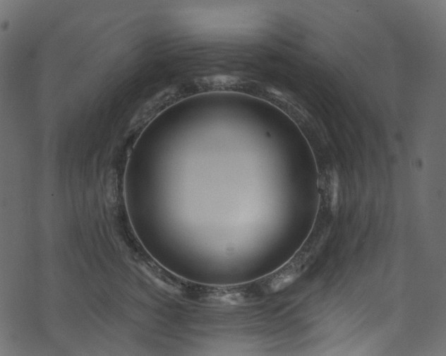 X0000074240760200608251138