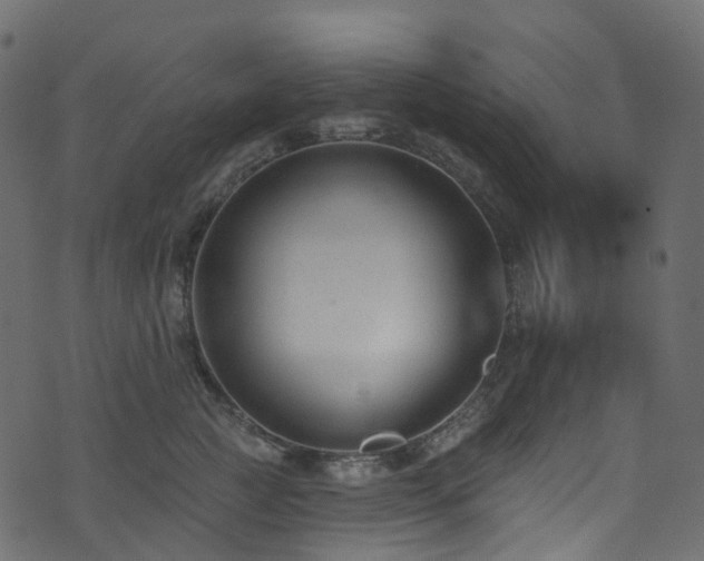 X0000074240761200608251138