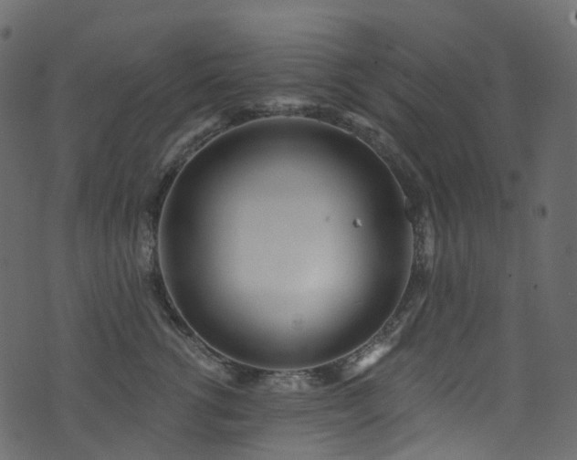 X0000074240762200608251138