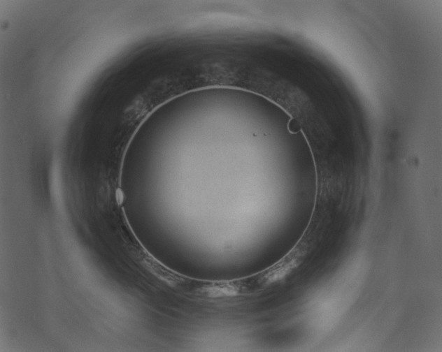 X0000074240765200608251138