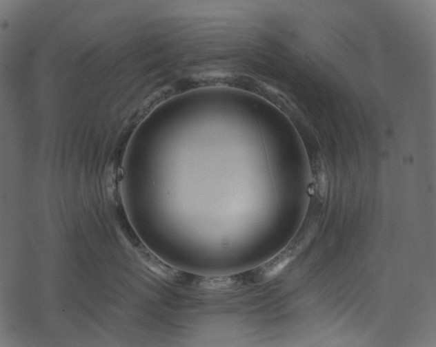 X0000074240767200608251138