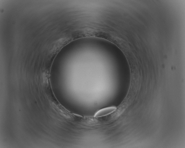 X0000074240768200608251138