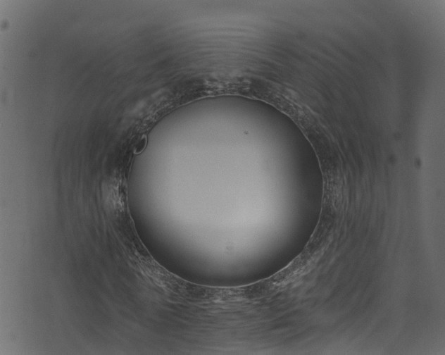 X0000074240770200608251137