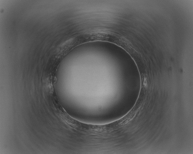 X0000074240771200608251137