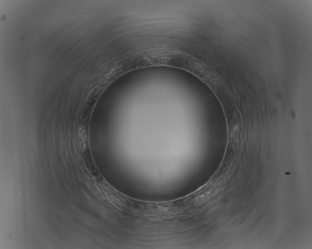 X0000074240772200608251137