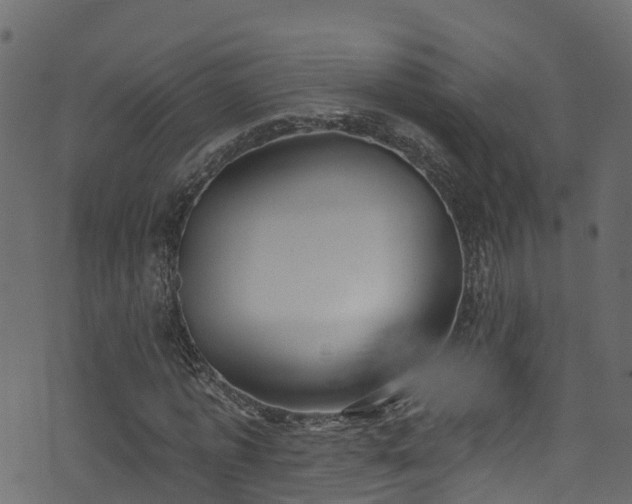 X0000074240773200608251137