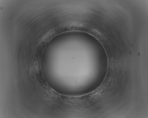 X0000074240774200608251137