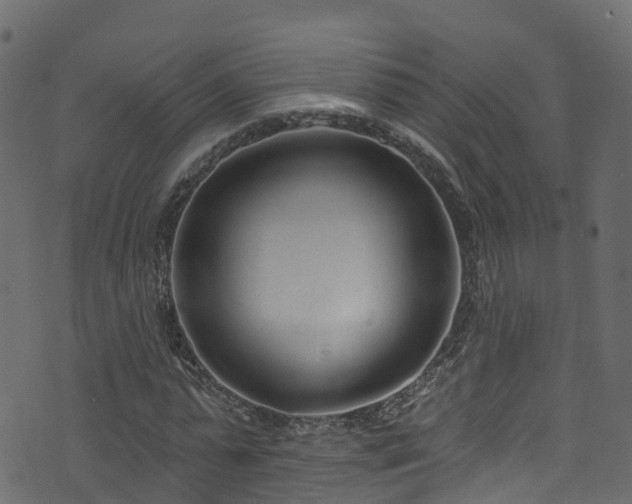 X0000074240775200608251137