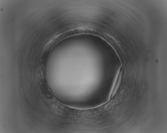 X0000074240776200608251137