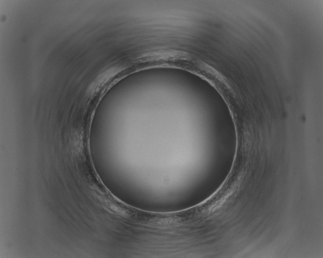 X0000074240778200608251137