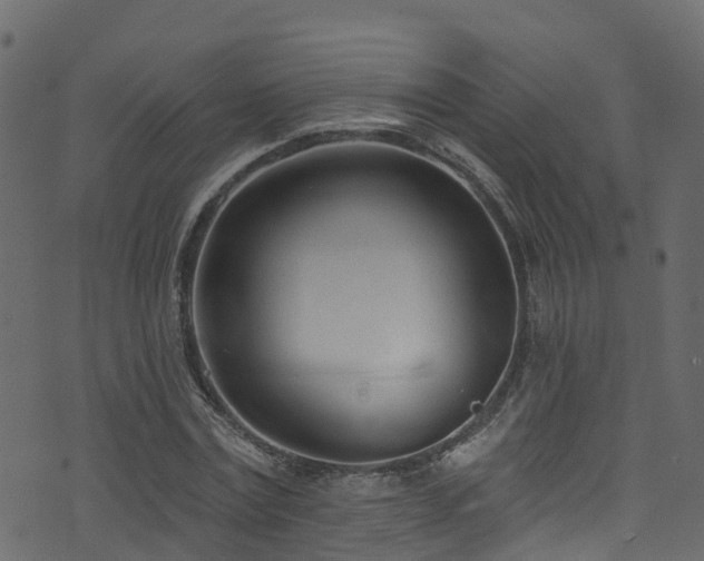 X0000074240779200608251137