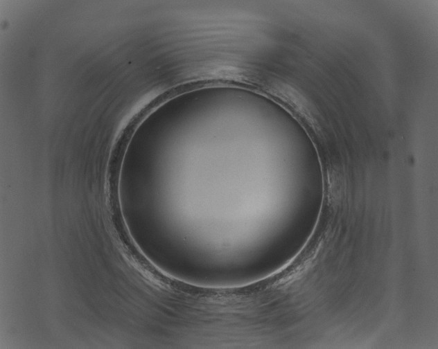 X0000074240780200608251137