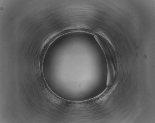 X0000074240781200608251137