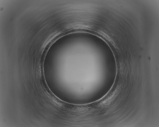 X0000074240782200608251137