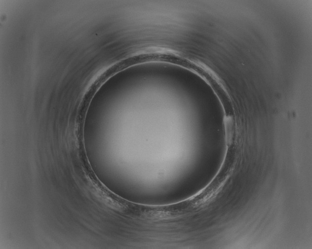 X0000074240783200608251137