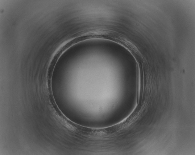 X0000074240784200608251137