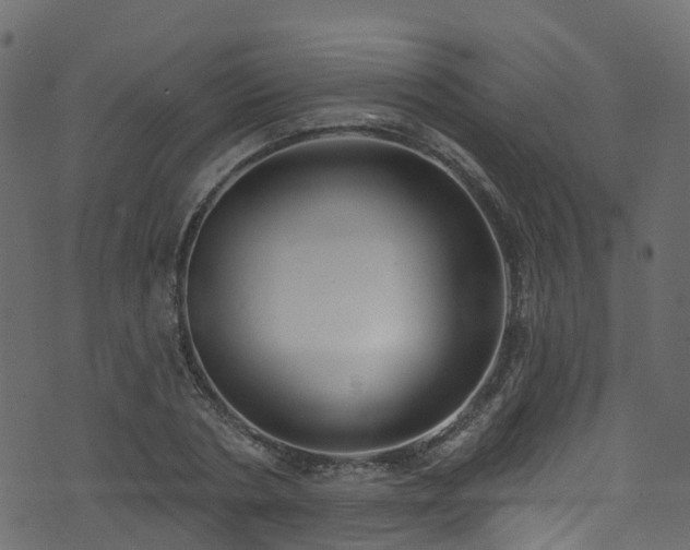 X0000074240786200608251137