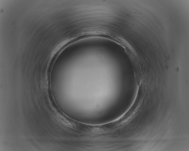 X0000074240787200608251137