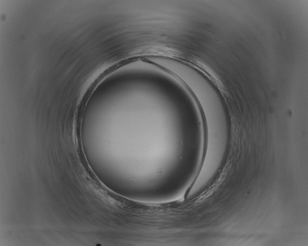 X0000074240788200608251137