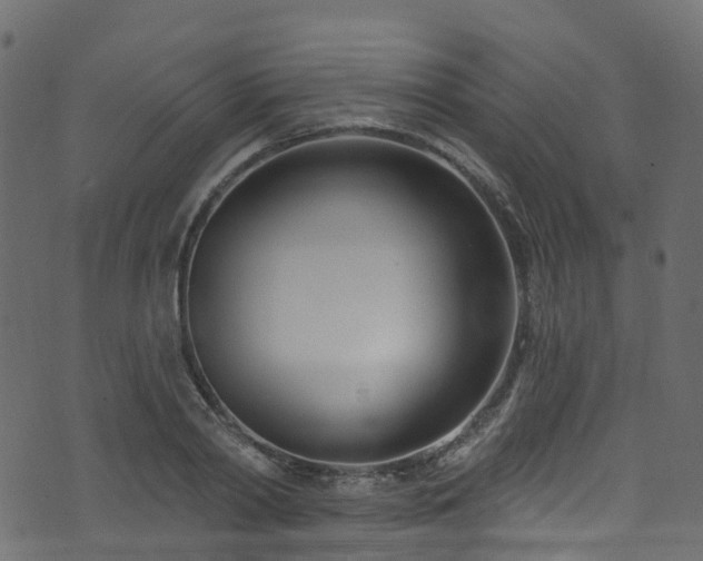 X0000074240790200608251137