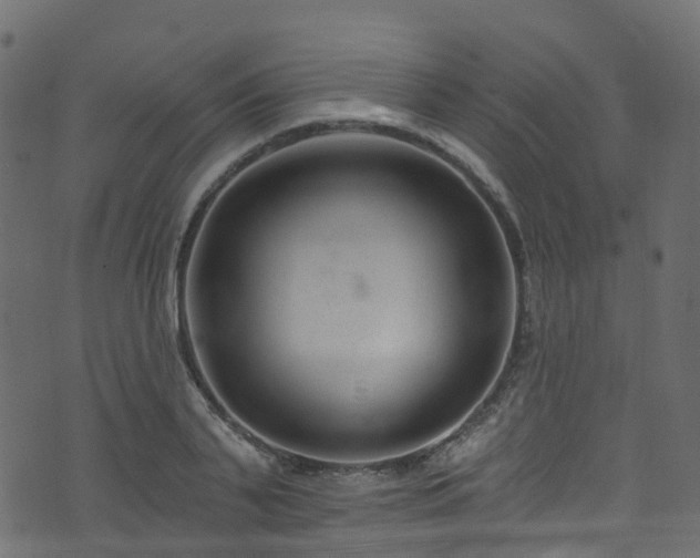 X0000074240791200608251137